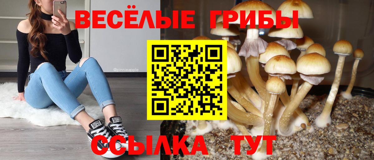 Галлюциногенные грибы MAGIC MUSHROOMS Мурманск