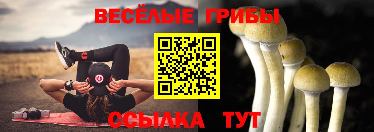 наркошоп  Псилоцибиновые грибы Magic Shrooms  Вход с VPN  Мурманск 